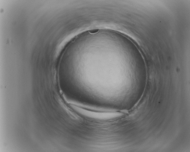 X0000071381507200607142057