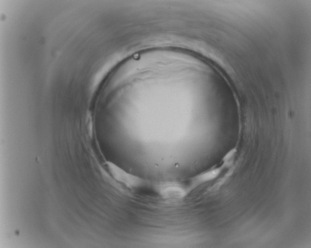 X0000071381509200607142057