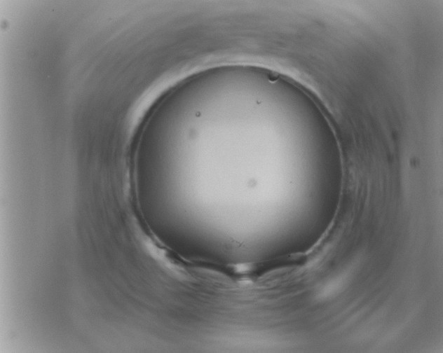 X0000071381511200607142057