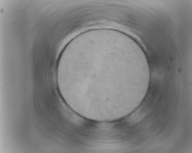 X0000071381514200607142057