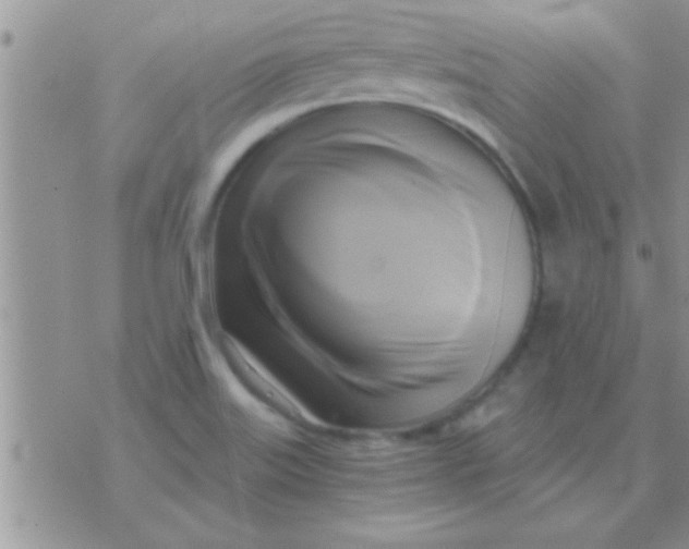 X0000071381515200607142057