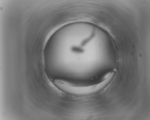 X0000071381516200607142057