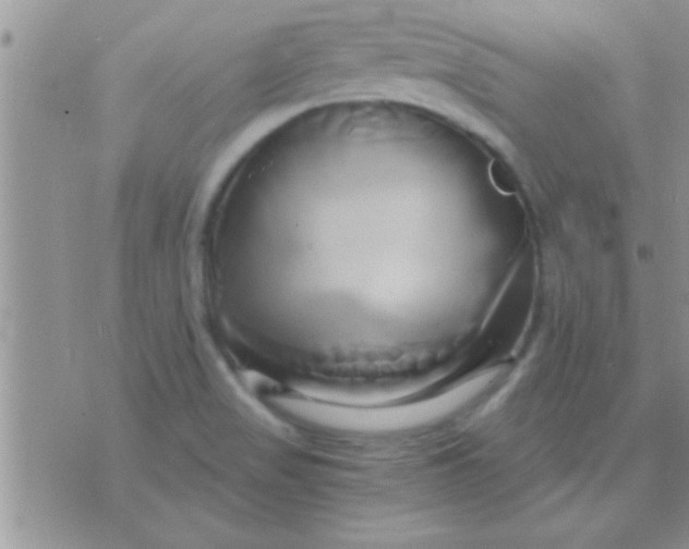 X0000071381517200607142057