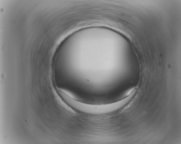 X0000071381518200607142058