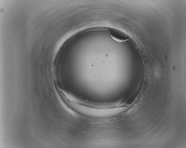 X0000071381519200607142058