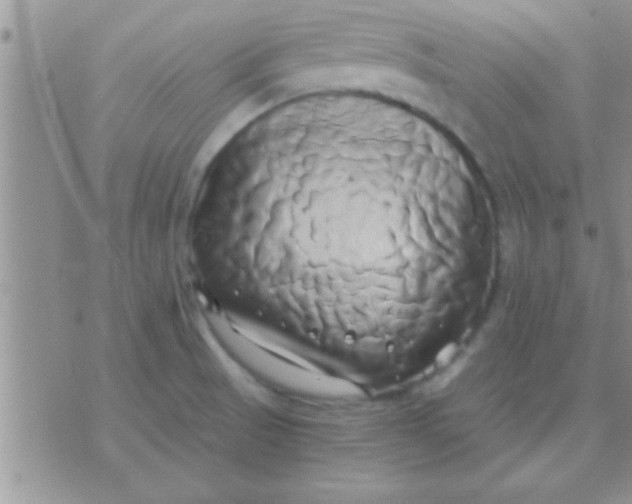 X0000071381521200607142058