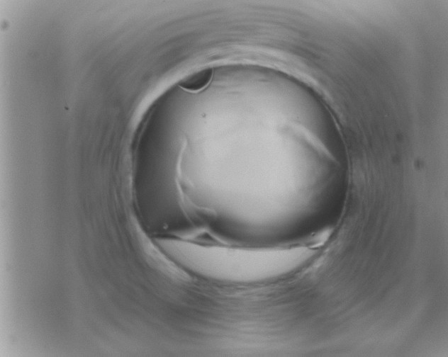 X0000071381522200607142058