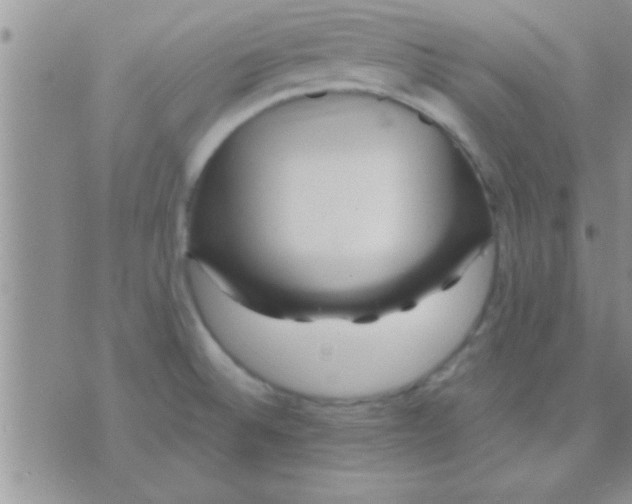 X0000071381524200607142058