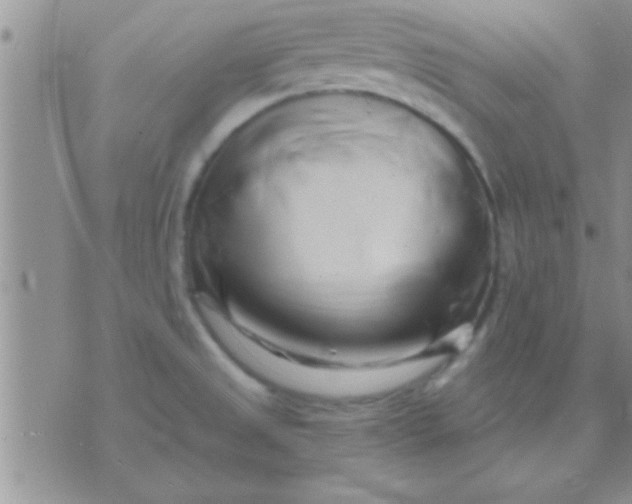 X0000071381525200607142058