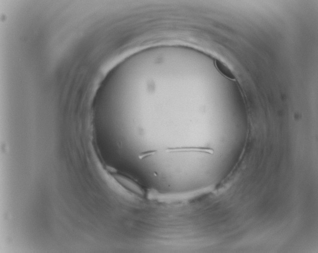 X0000071381526200607142058