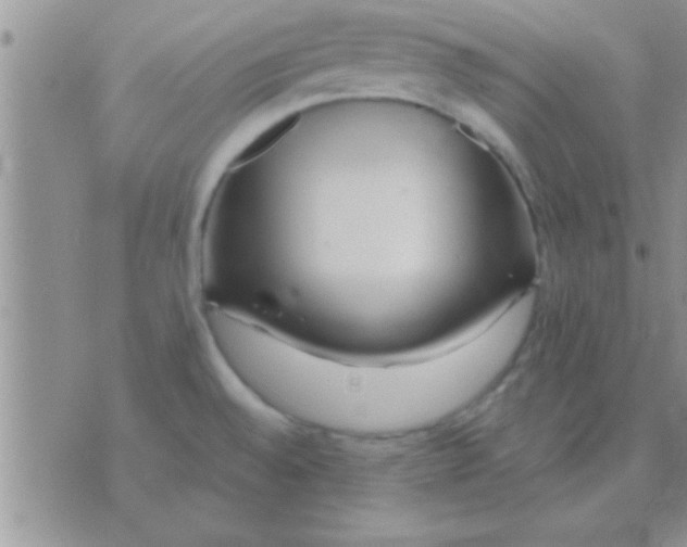 X0000071381528200607142058