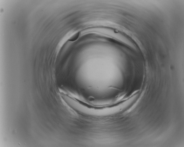 X0000071381529200607142058