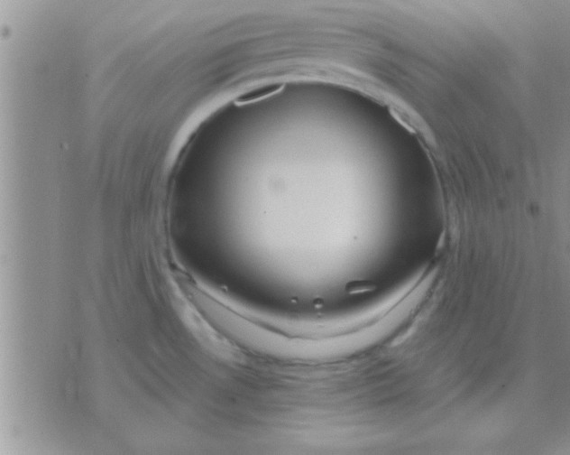 X0000071381530200607142058