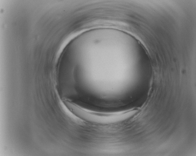 X0000071381531200607142058