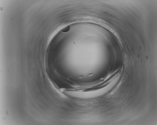 X0000071381533200607142058