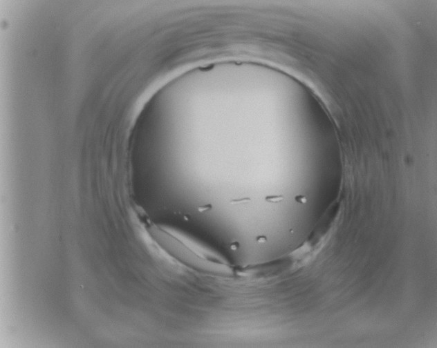 X0000071381534200607142058