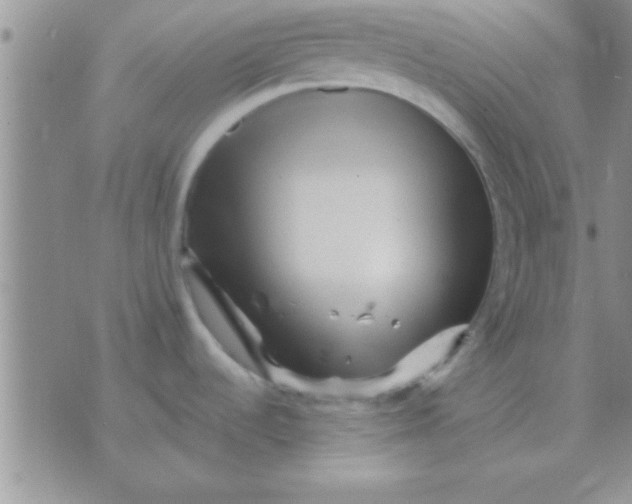 X0000071381536200607142058