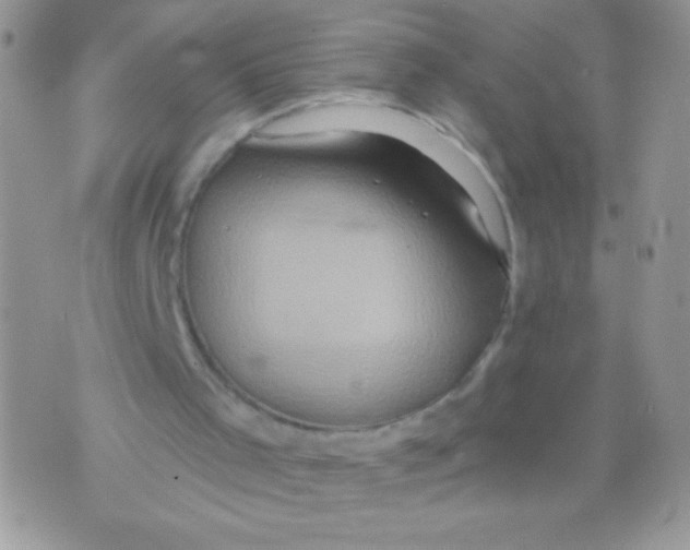 X0000071380001200607212224