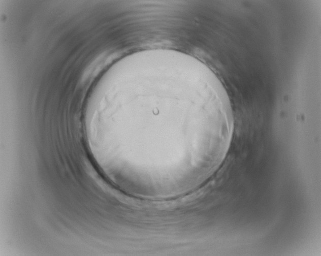 X0000071380002200607212224