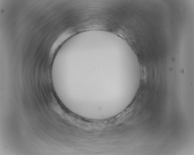 X0000071380004200607212224