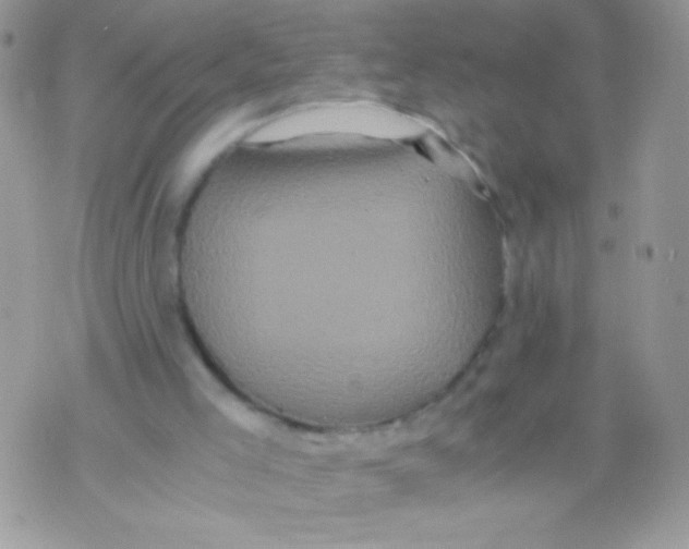 X0000071380005200607212224