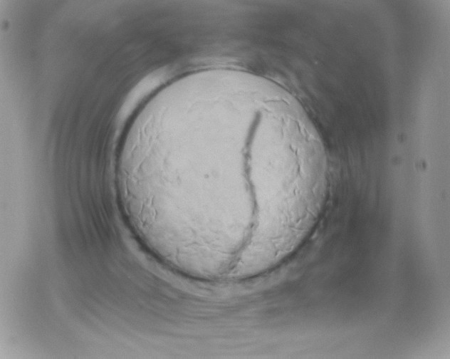 X0000071380006200607212224