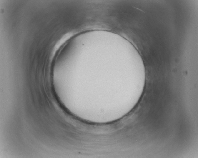 X0000071380008200607212224