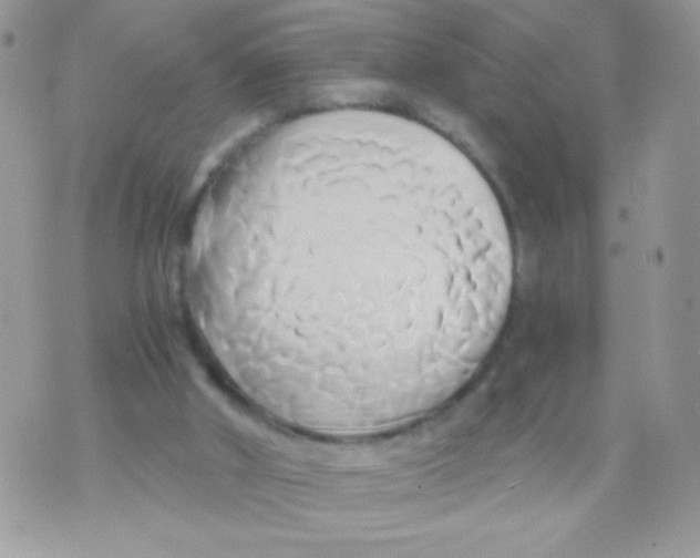 X0000071380010200607212224