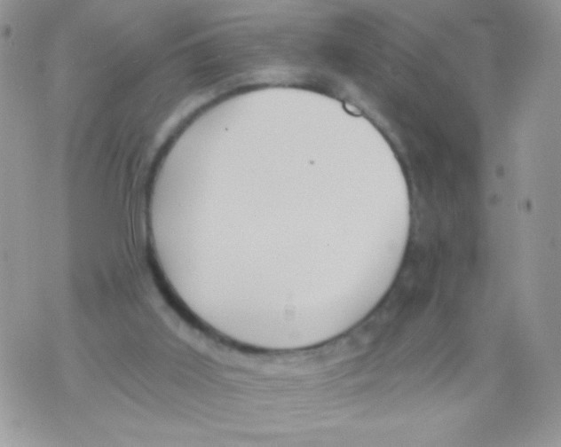 X0000071380011200607212224