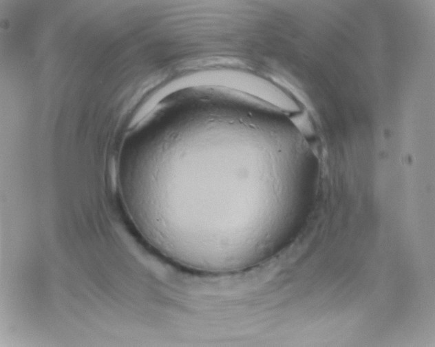 X0000071380013200607212224