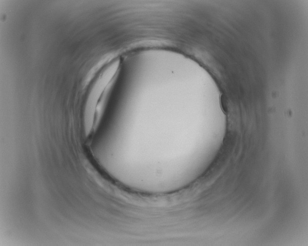 X0000071380015200607212224