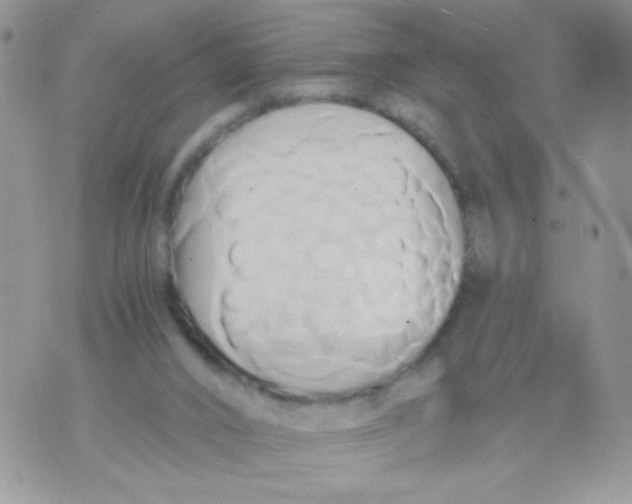 X0000071380016200607212224