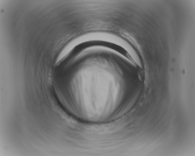 X0000071380017200607212224