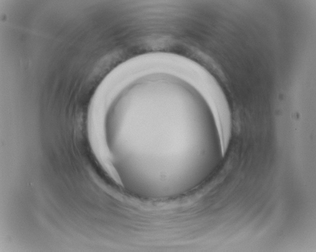 X0000071380018200607212224