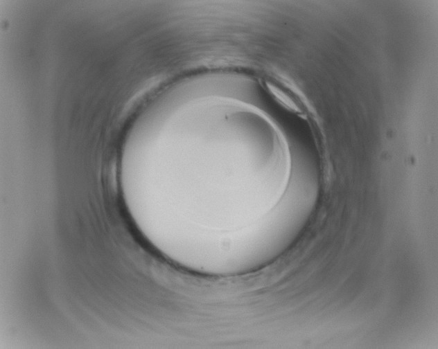 X0000071380019200607212224