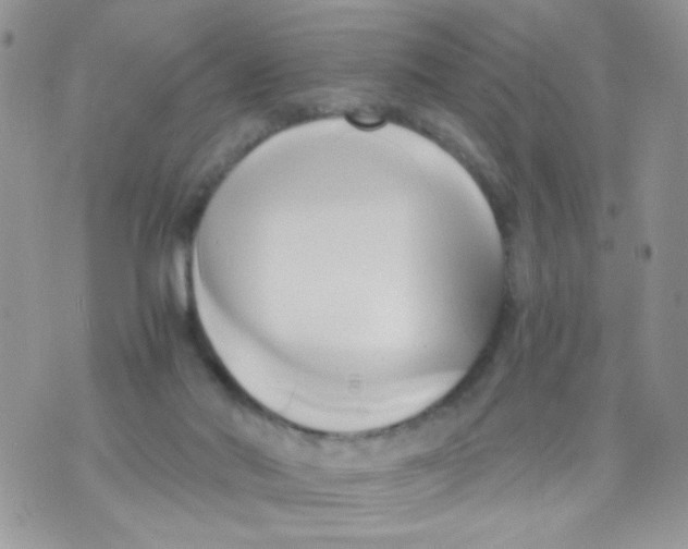 X0000071380022200607212224