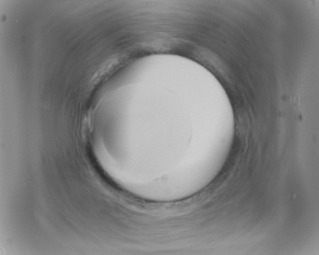 X0000071380023200607212224