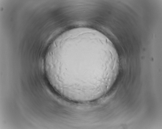 X0000071380024200607212224