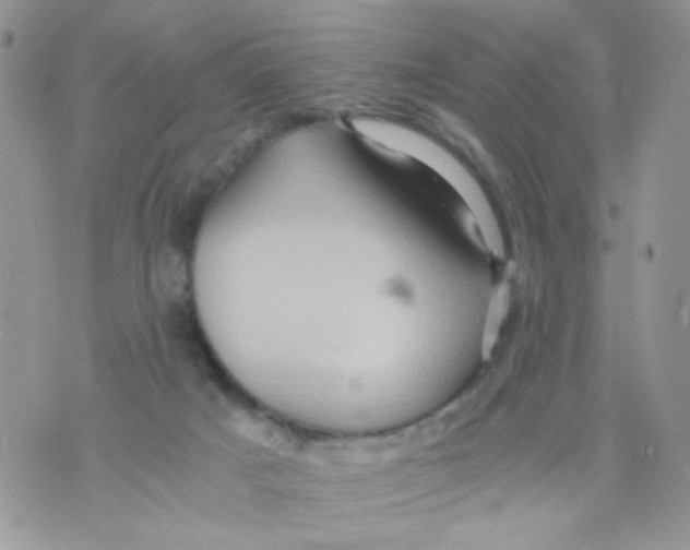 X0000071380025200607212224