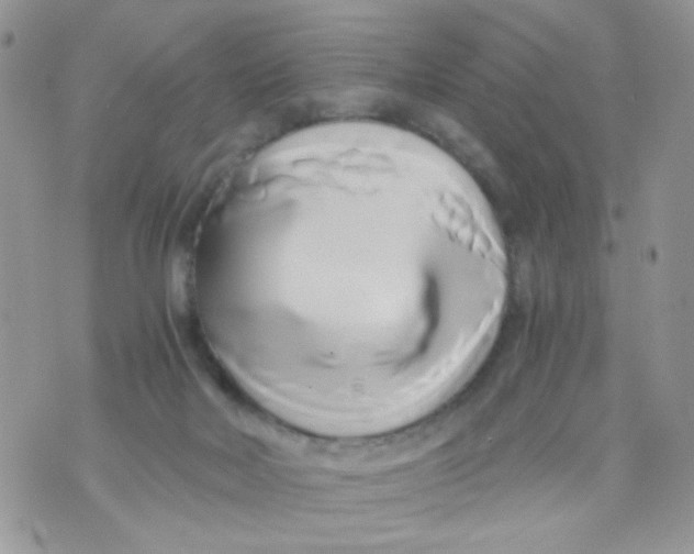 X0000071380026200607212224