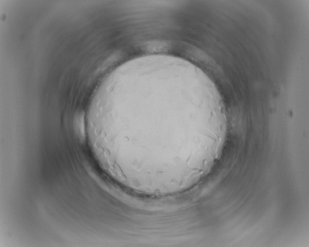 X0000071380028200607212224