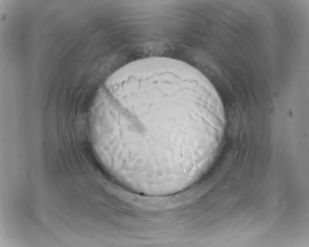 X0000071380034200607212223