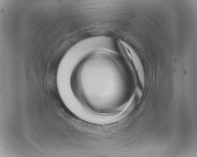 X0000071380035200607212223