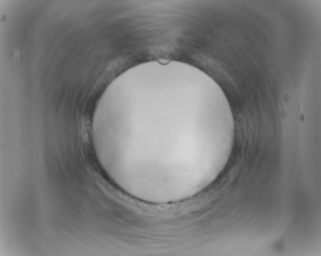 X0000071380038200607212223