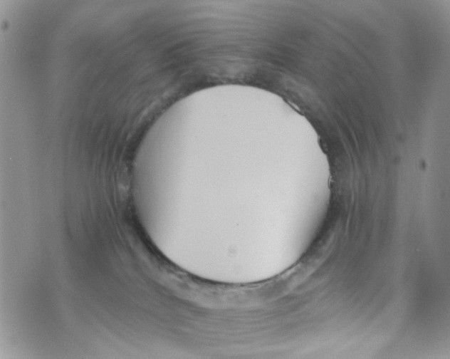 X0000071380040200607212223