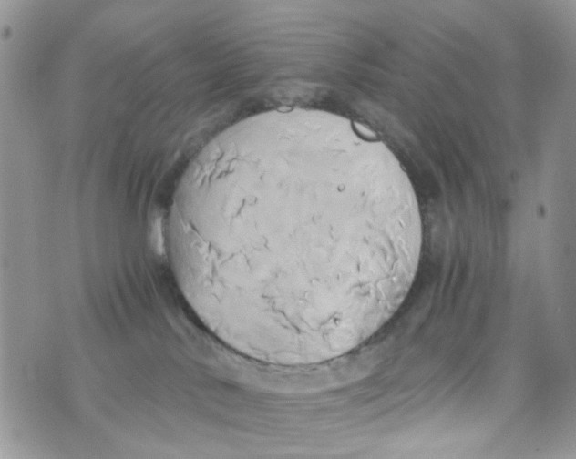 X0000071380042200607212223