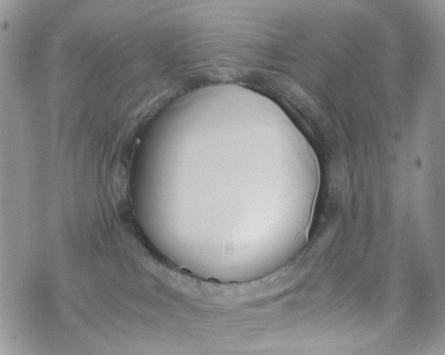 X0000071380043200607212223