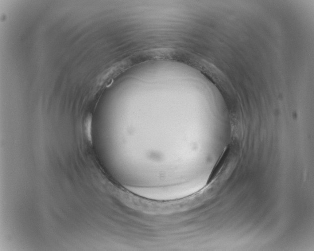 X0000071380047200607212223