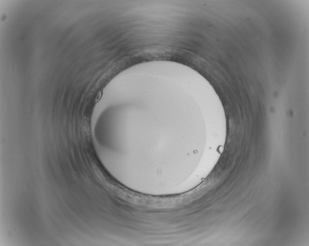 X0000071380048200607212223