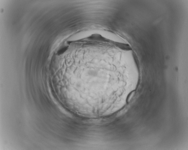 X0000071380049200607212222